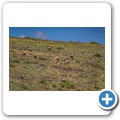 Namaqua NP