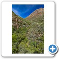 Cederberg Mountains
