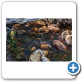 Mount Ceder Lodge - Wasserfall Wanderweg