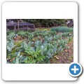 Tulbagh - Church Street Kitchen Gardens