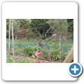 Tulbagh - Church Street Kitchen Gardens