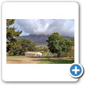 Oakhurst Olive Estate