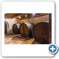 De Twee Gezellen Vineyards