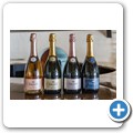 De Twee Gezellen Vineyards