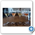 De Twee Gezellen Vineyards