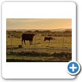 Farm bei Bredasdorp