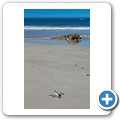 Die Dam Beach