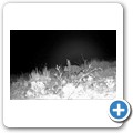 Riviersonderend - Ribbok Pod - nachts vor der Terrasse