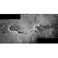 Elefantenrüsselnebel (IC 1396)