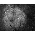 Elefantenrüsselnebel (IC 1396)