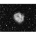 Kokonnebel (IC 5146)