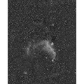Mövennebel (IC 2177)