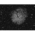 Sh2-170